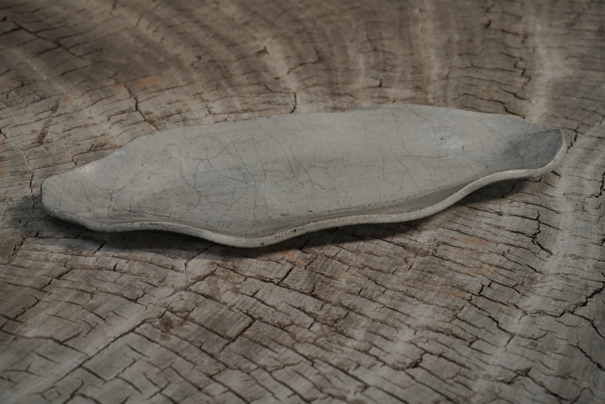 Japanese Contemporary Tray