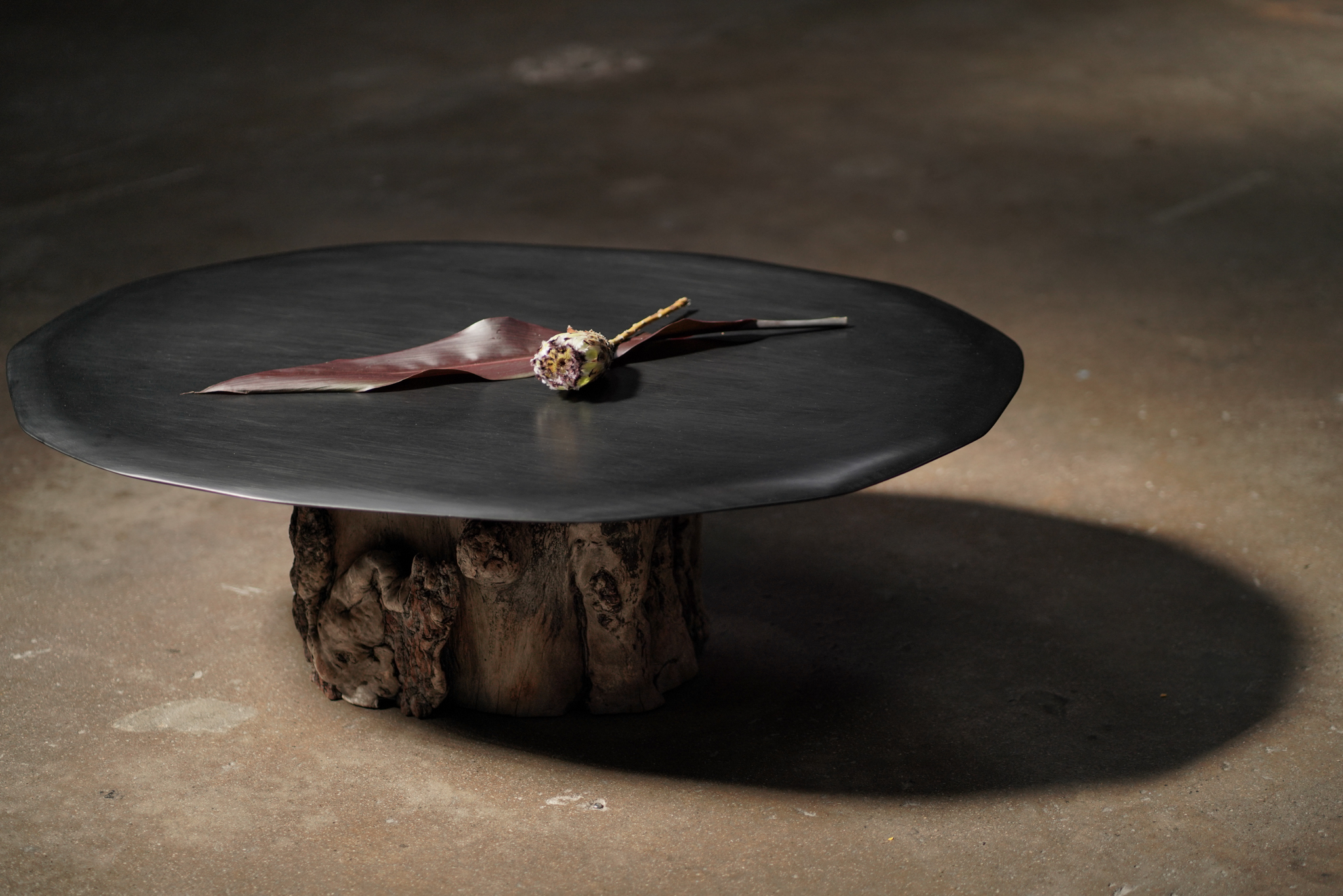 Cashew Round Coffee Table on Stump