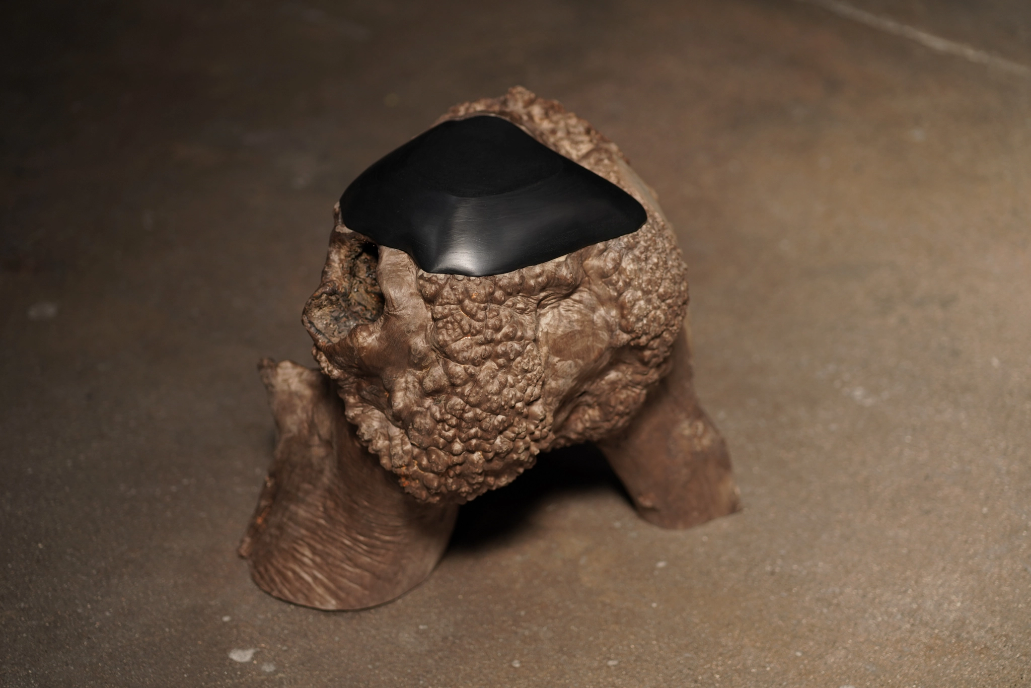 Cashew Root Table